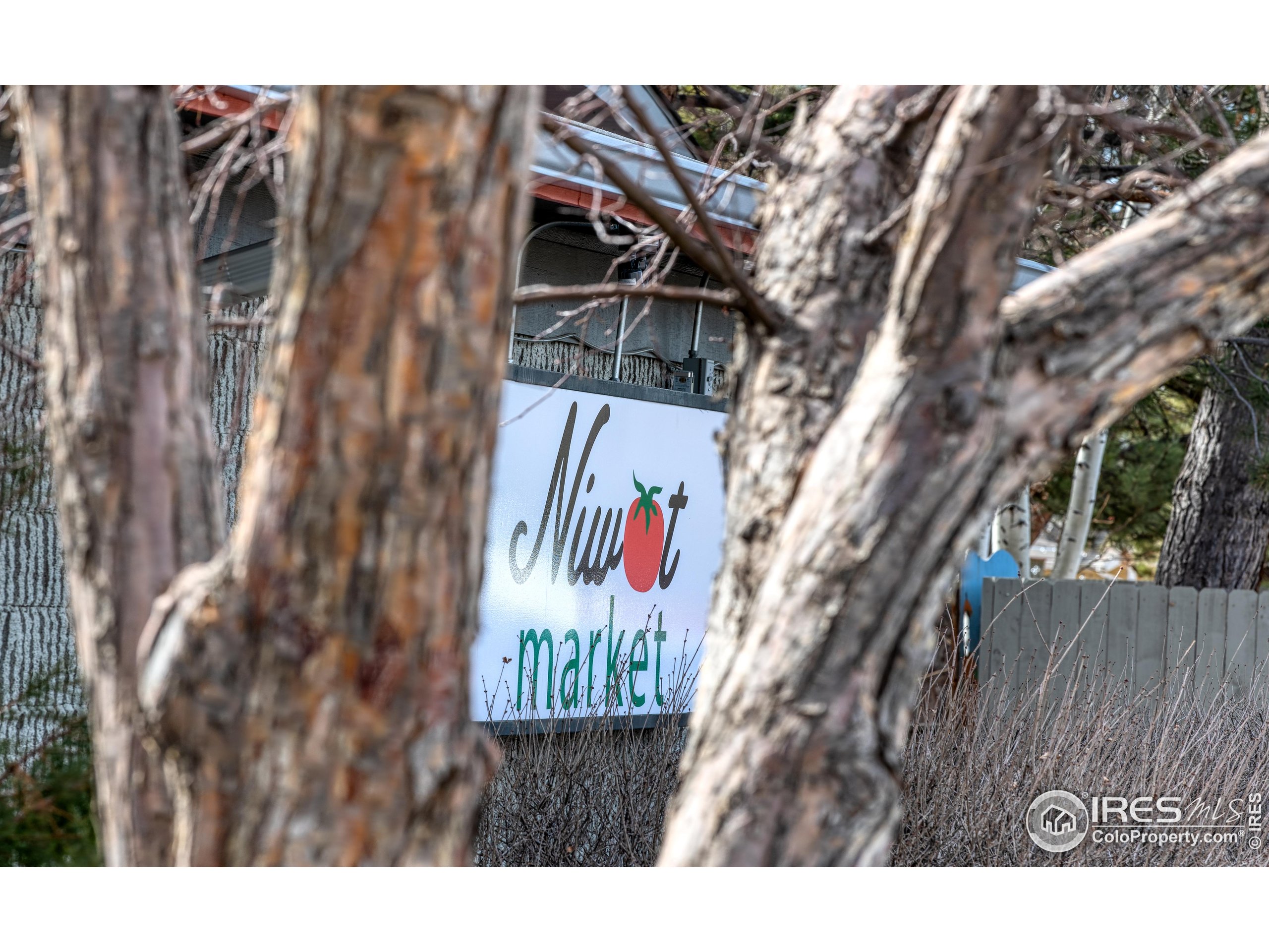 8050 Niwot Road, Unit 28 Niwot, CO 80503 - Photo 31 of 34