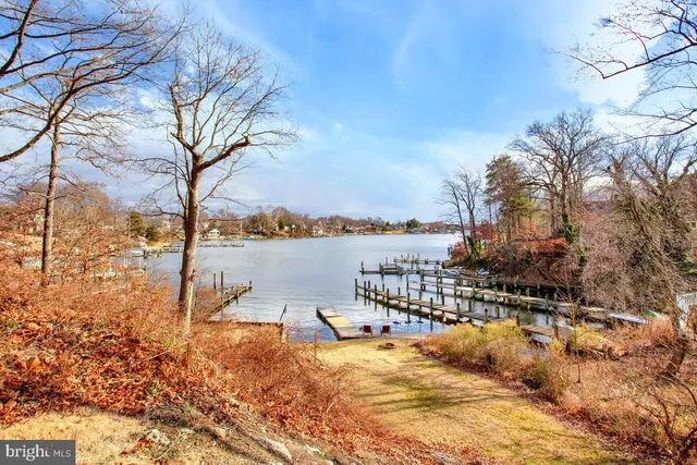 a view of a swimming pool with lounge chair