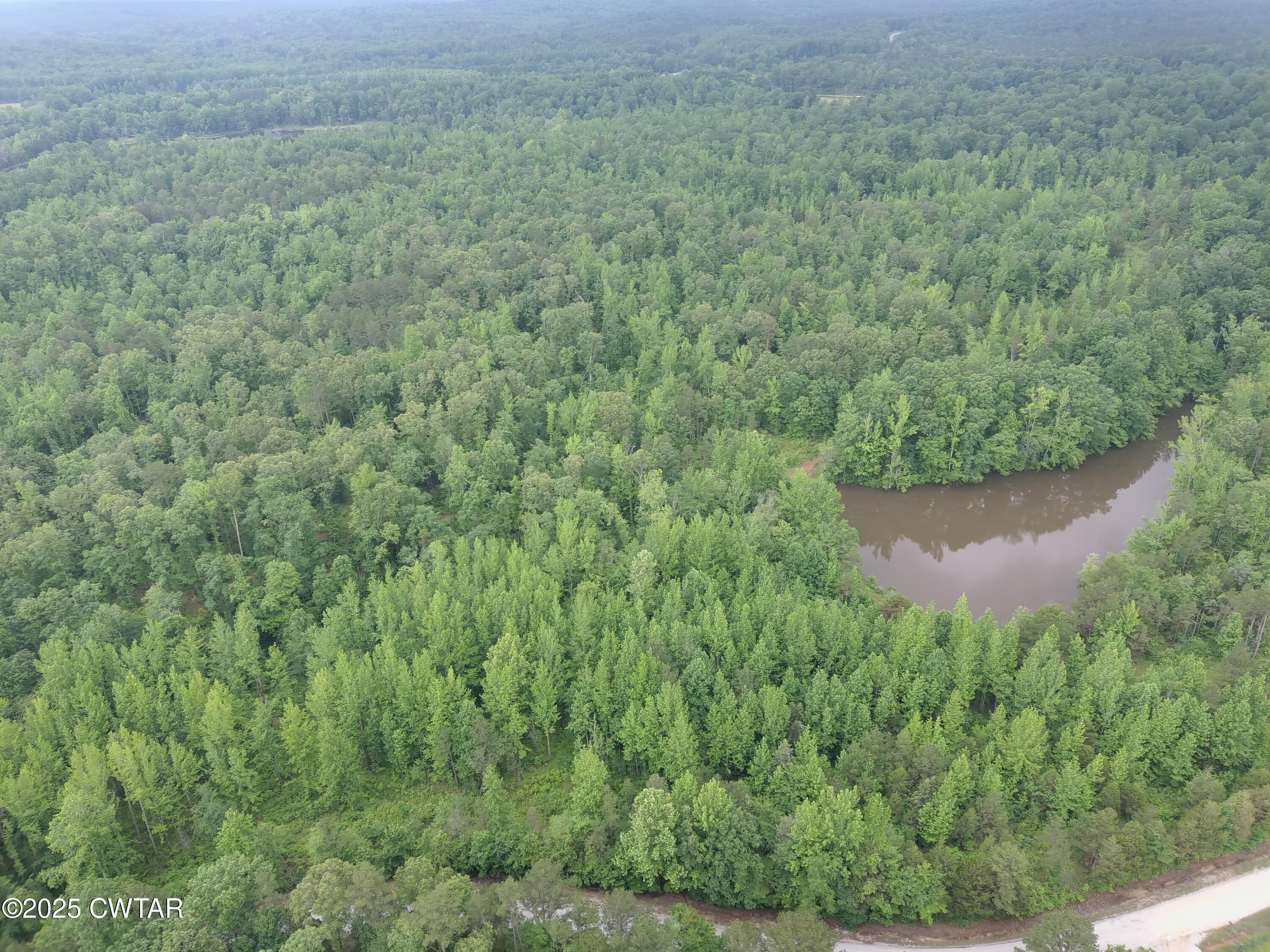 a view of a lush green field