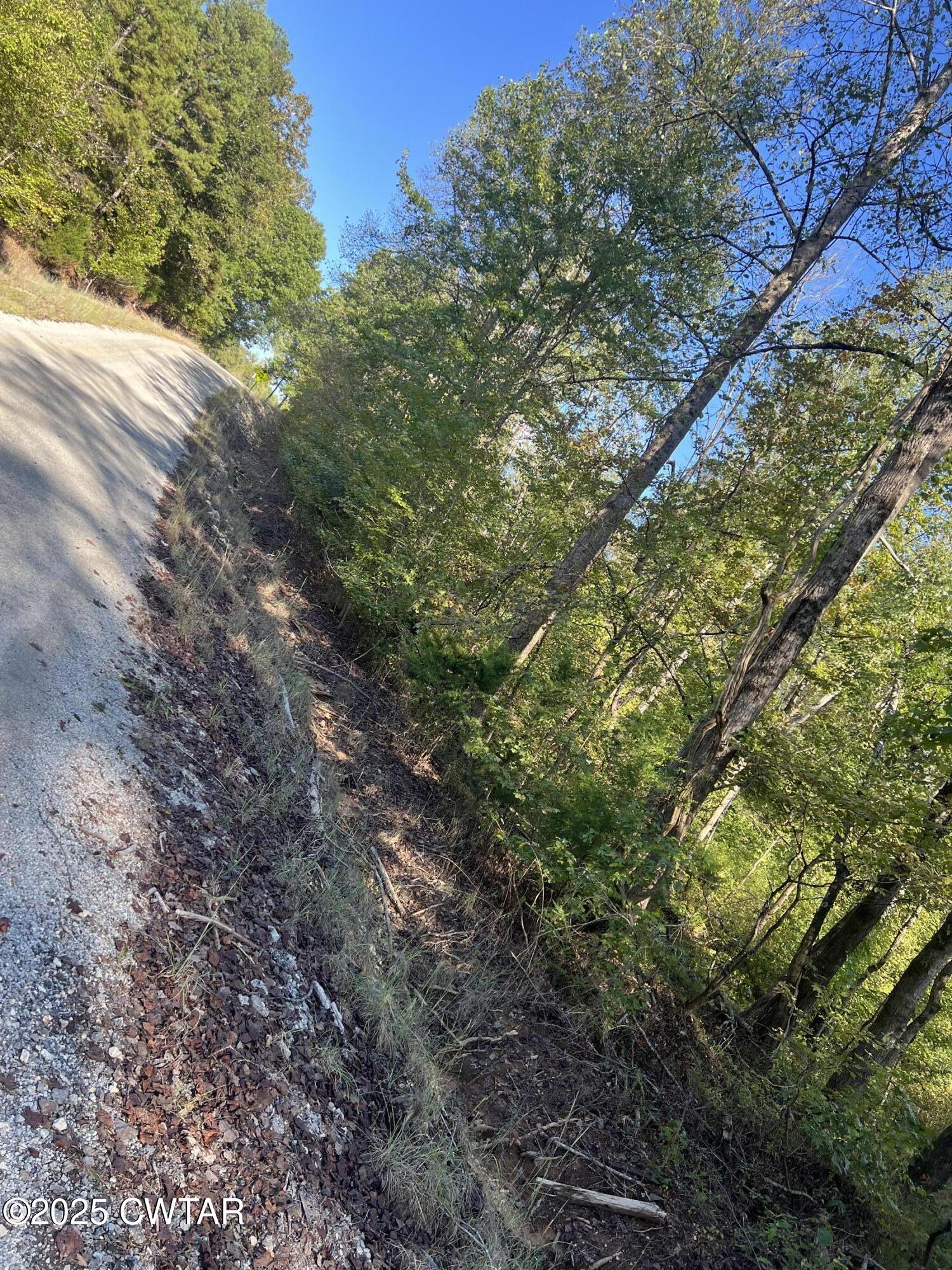 0 Butler (lot 25 & 26) Road Pinson, TN 38366 - Photo 3 of 7 a view of a yard with a tree