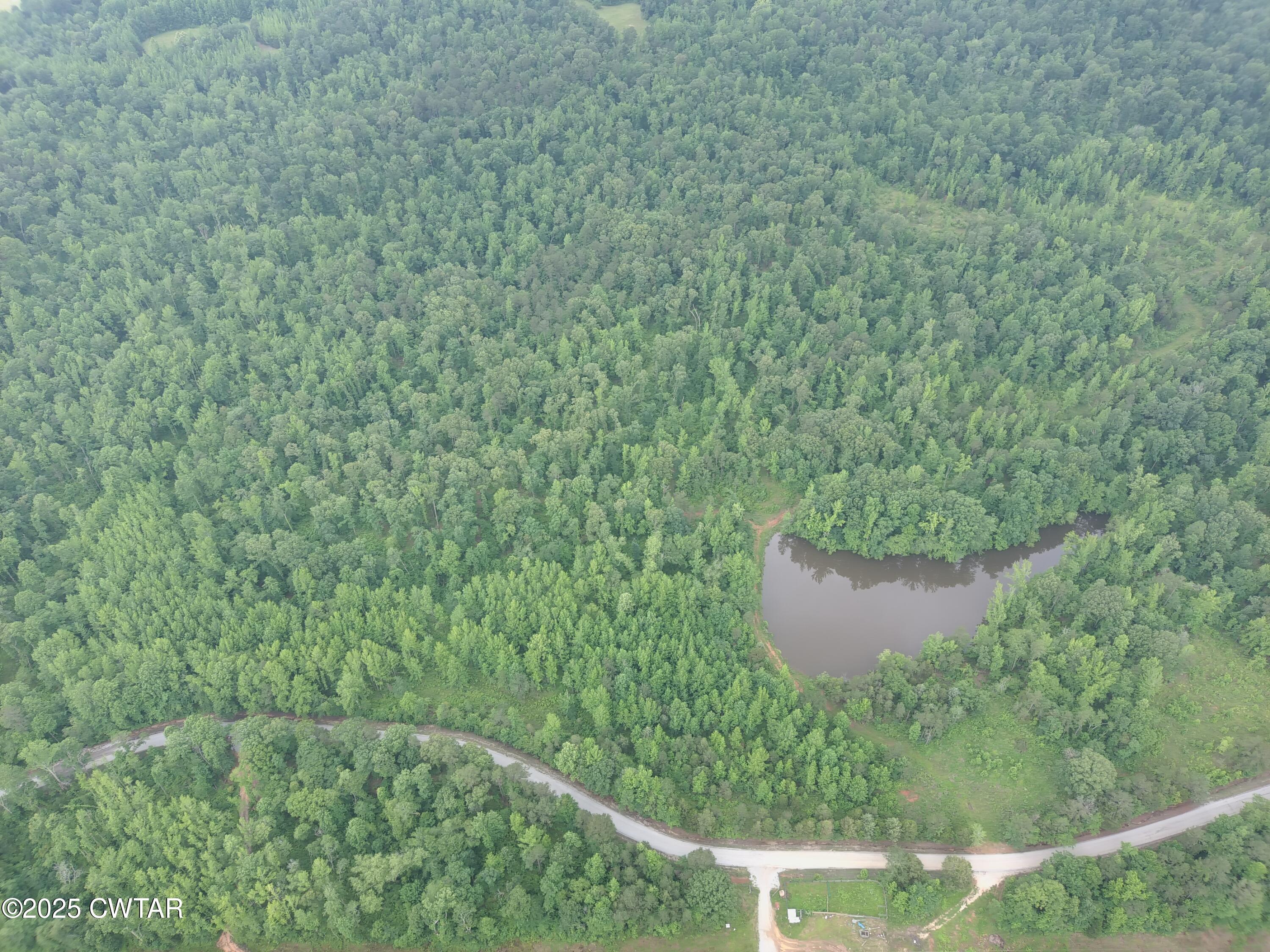 0 Butler (lot 25 & 26) Road Pinson, TN 38366 - Photo 5 of 7 a view of a yard with a house in the background