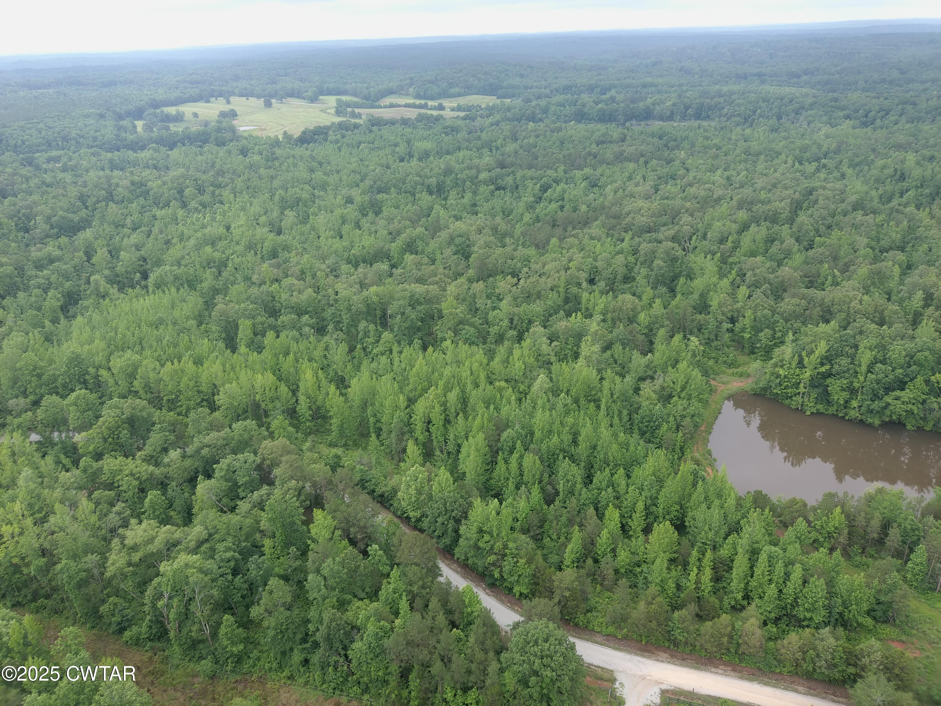 0 Butler (lot 25 & 26) Road Pinson, TN 38366 - Photo 6 of 7 a view of a lush green forest with trees and some houses