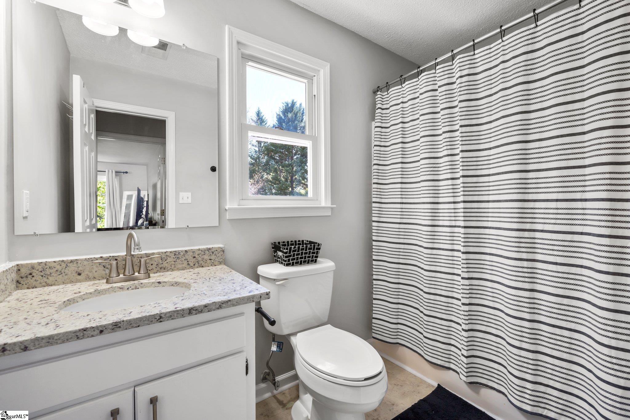 708 Pineapple Pointe Greenville, SC 29607 - Photo 26 of 33