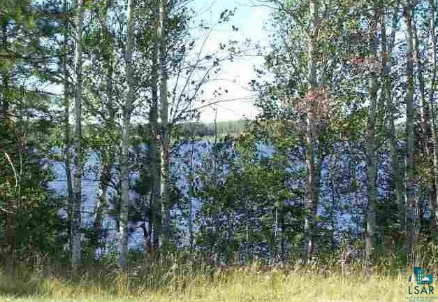 Lot 3 Mud Hen Road Makinen, MN 55763 - Photo 2 of 6