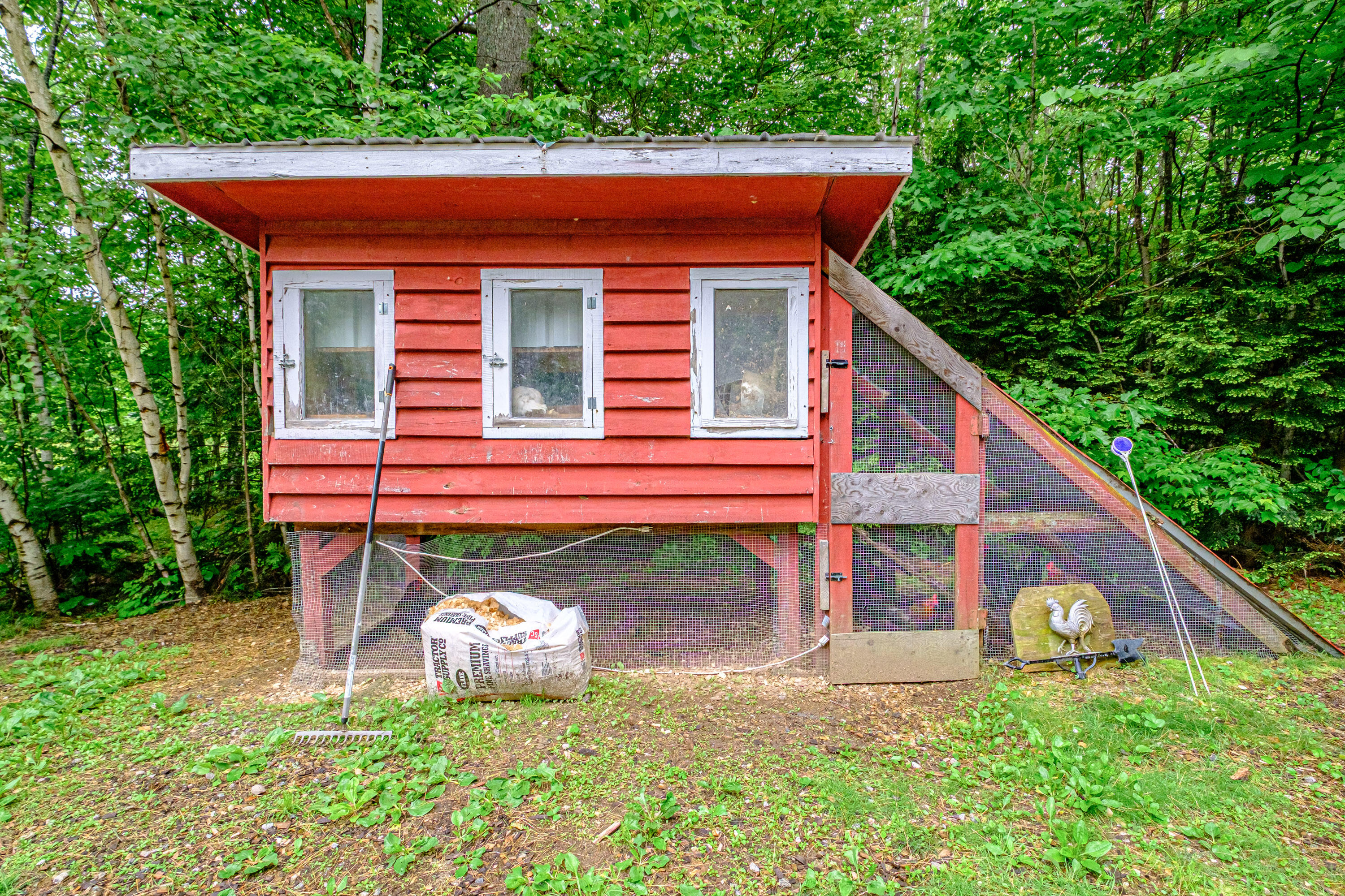 41 Dundee Road Bethel, ME 04217 - Photo 45 of 76 20250610gp-60022
