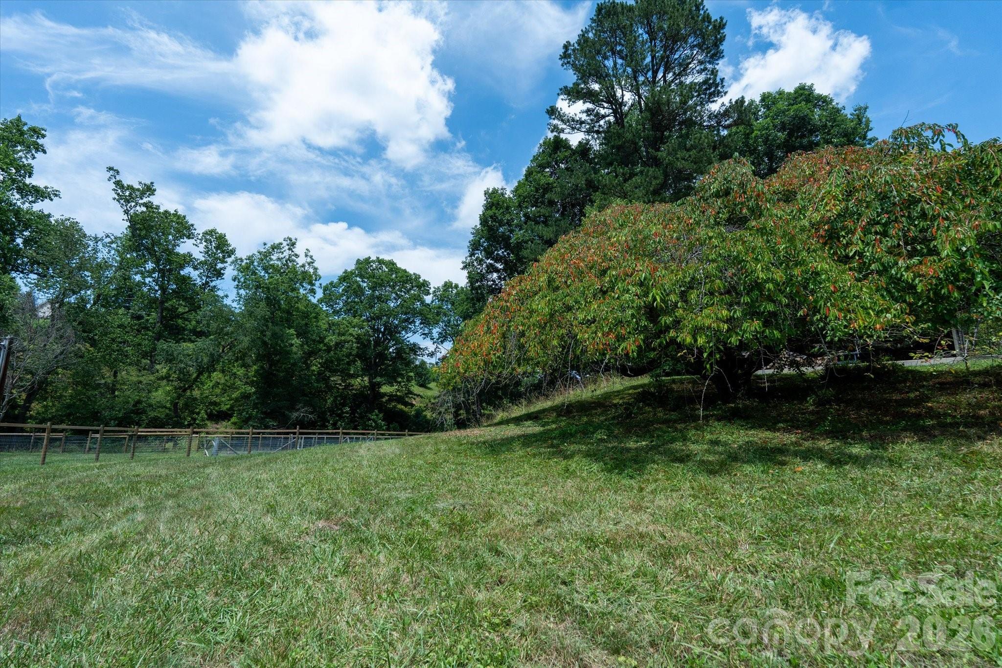 79 Laurel Cove Road Candler, NC 28715 - Photo 41 of 44