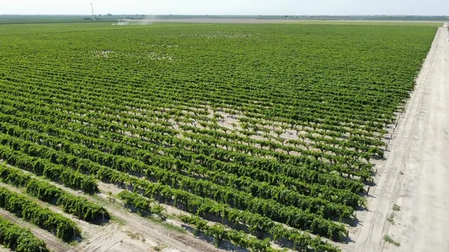 a view of a field with outside view