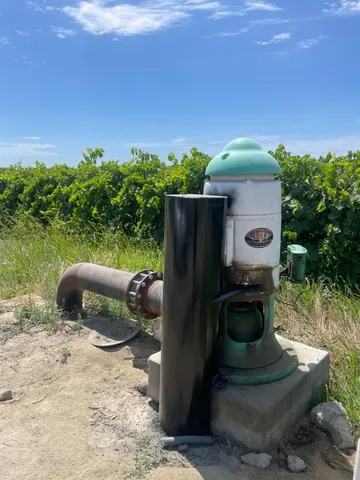 a view of a backyard with plants and outdoor seating