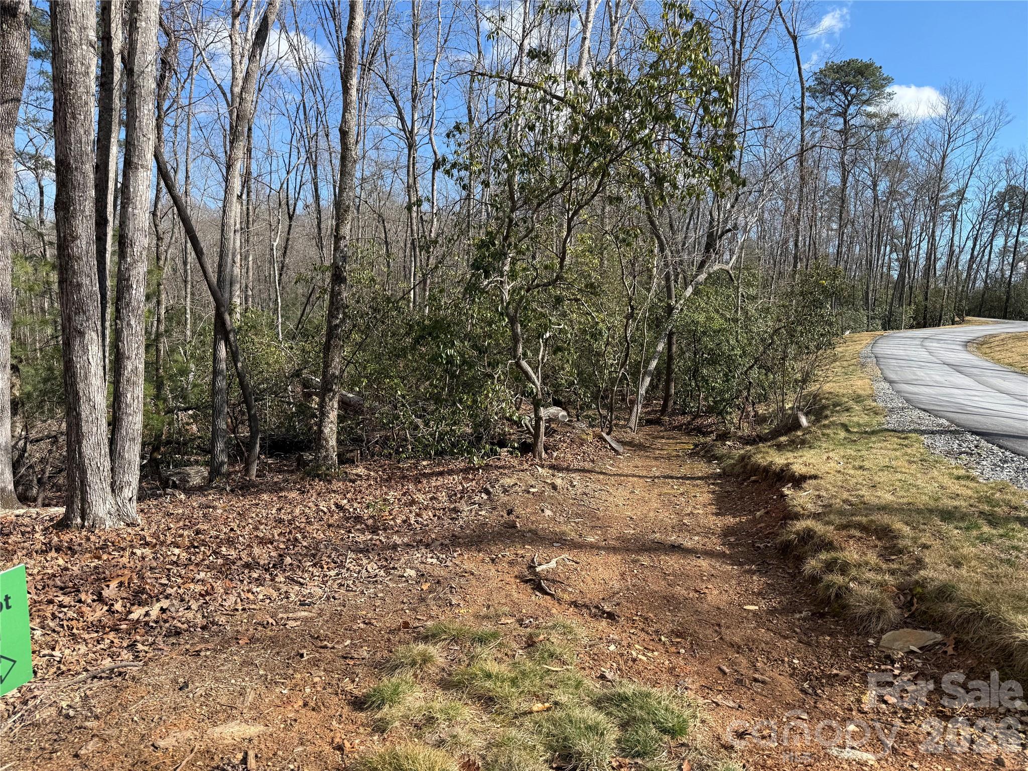 1 Turtle Rdg Trail Mills River, NC 28759 - Photo 14 of 16 a view of a yard with trees
