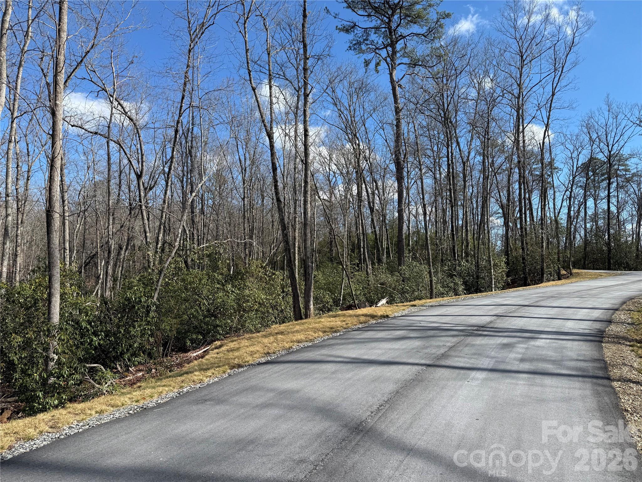 1 Turtle Rdg Trail Mills River, NC 28759 - Photo 15 of 16 a backyard of a house with lots of green space