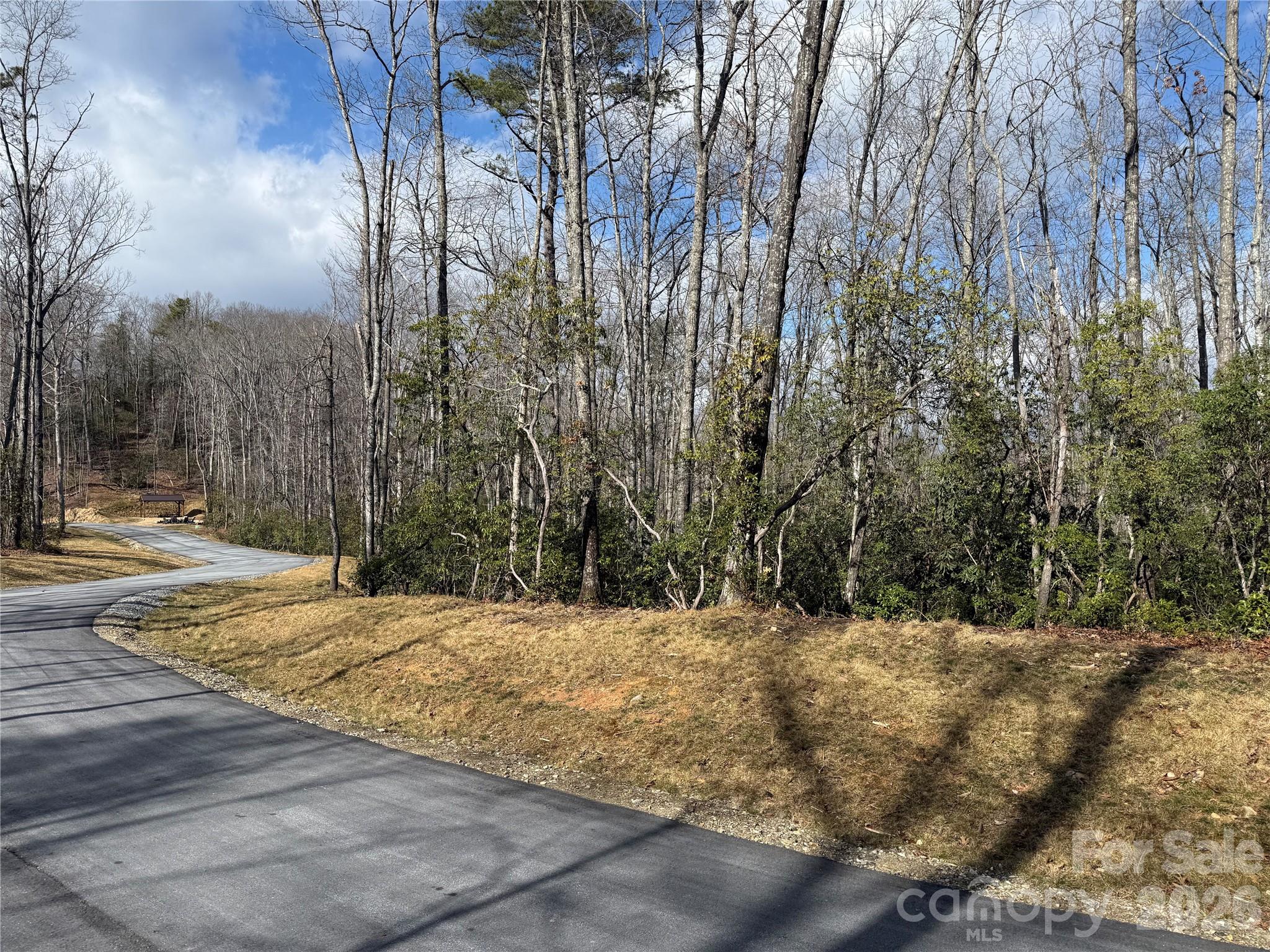 1 Turtle Rdg Trail Mills River, NC 28759 - Photo 4 of 16