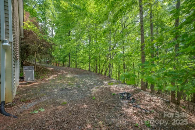 a view of a forest with trees in the background