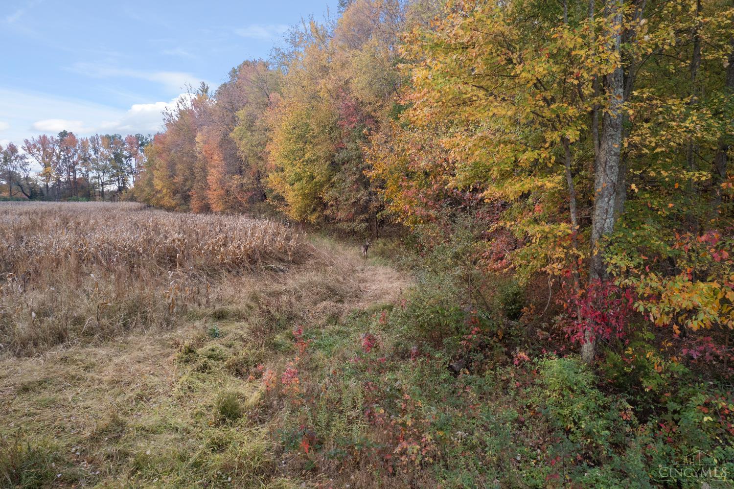 0 Colthar Road Bethel, OH 45106 - Photo 3 of 23