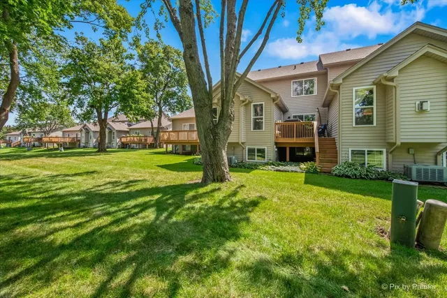 a view of a backyard with large trees