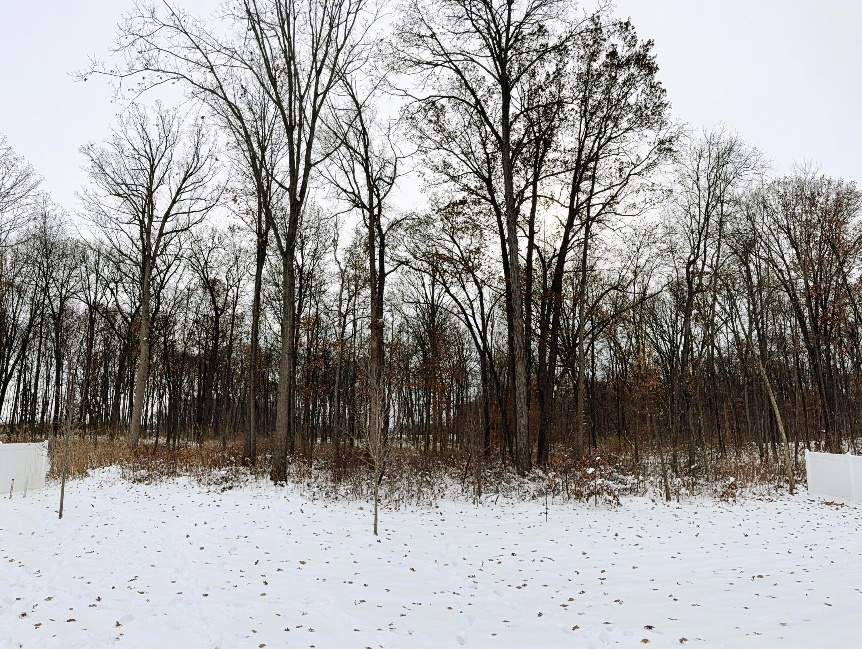 7375 East 120th Place Crown Point, IN 46307 - Photo 37 of 38 a view of a yard covered in snow