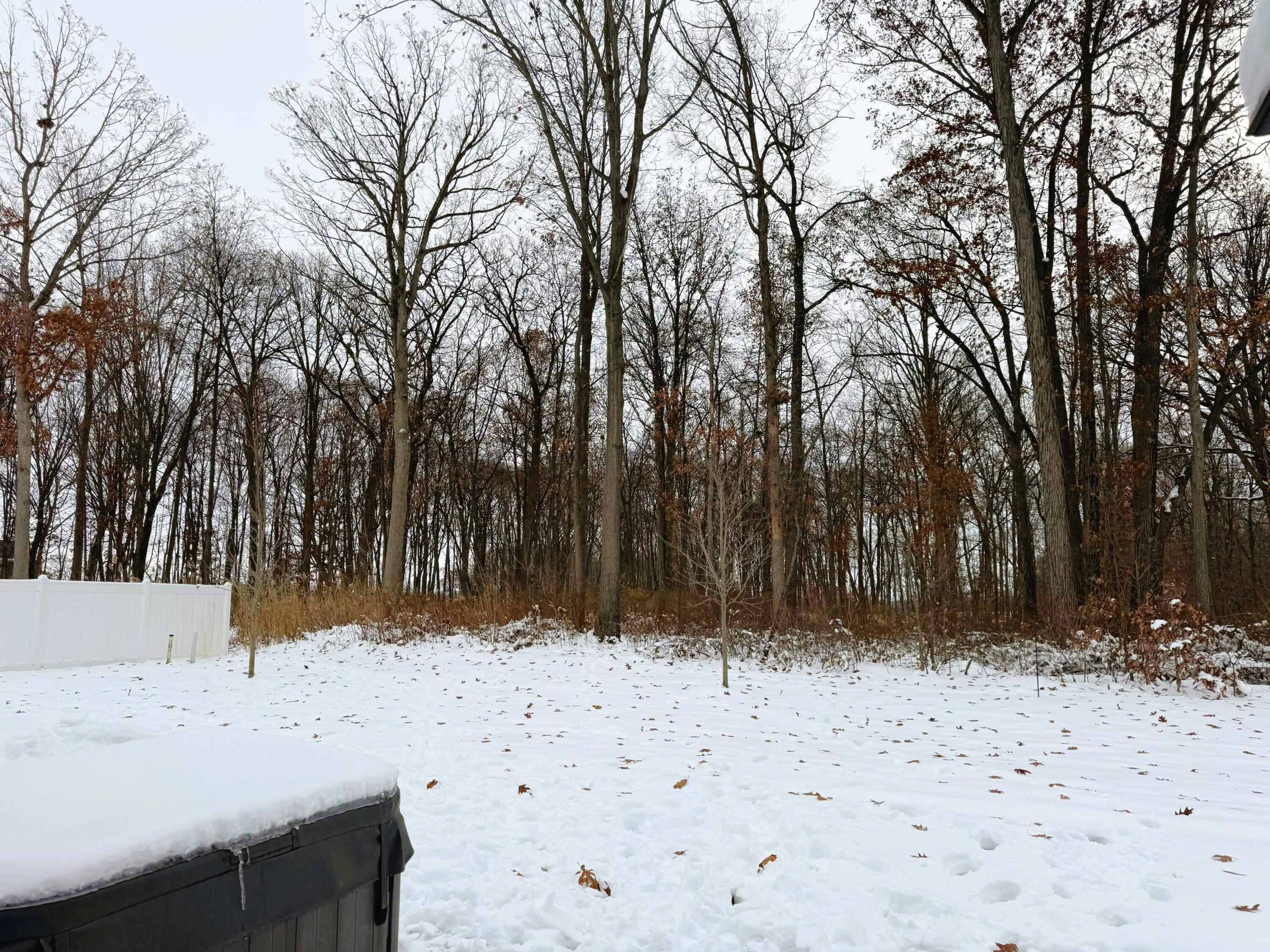 7375 East 120th Place Crown Point, IN 46307 - Photo 38 of 38 a view of snow on the ground