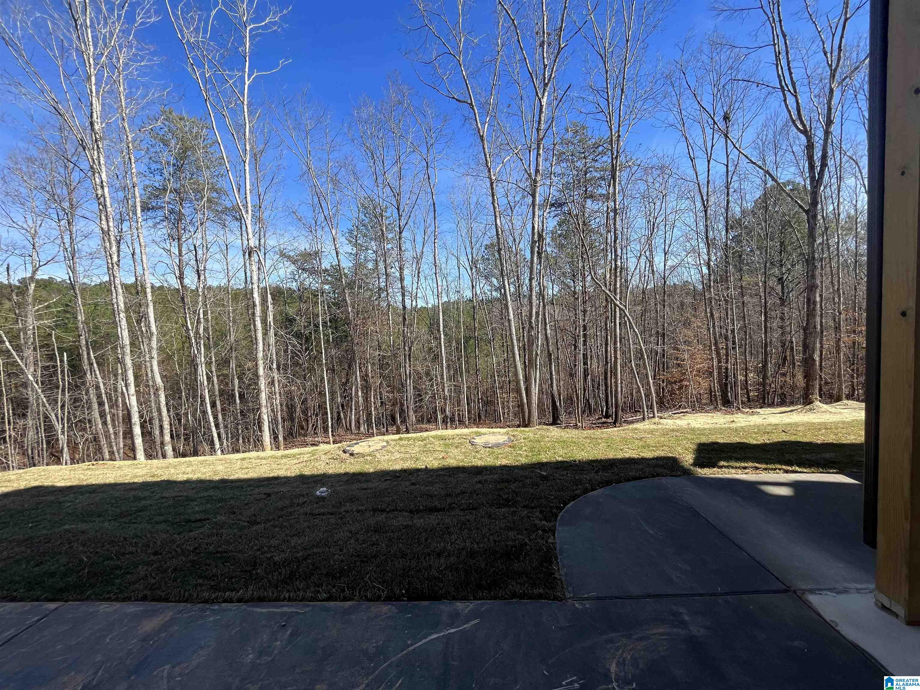 41 Cornerstone Circle Calera, AL 35040 - Photo 32 of 33