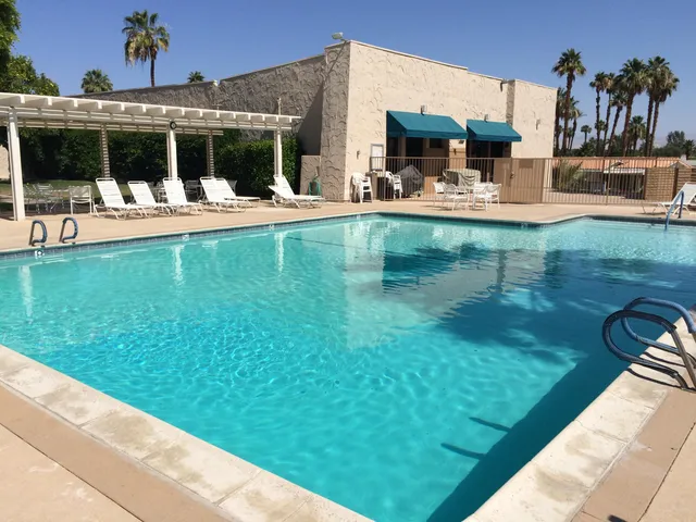 a view of a yard with palm trees