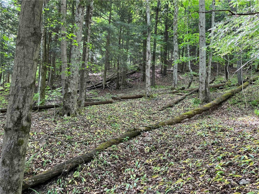 0 Bone Run Road Frewsburg, NY 14738 - Photo 11 of 30