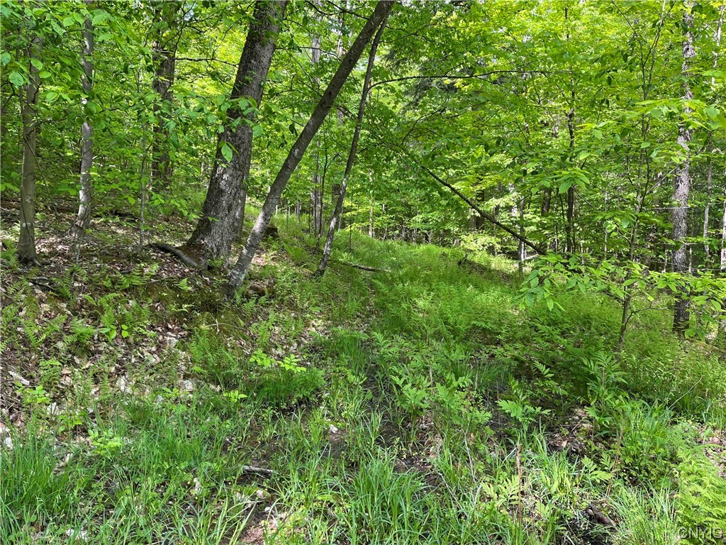 0 Bone Run Road Frewsburg, NY 14738 - Photo 12 of 30