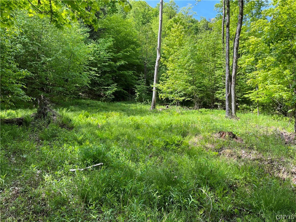 0 Bone Run Road Frewsburg, NY 14738 - Photo 13 of 30