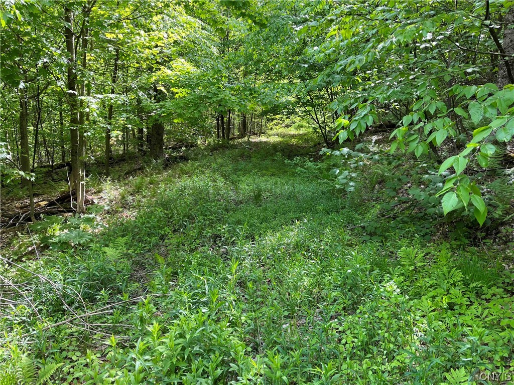 0 Bone Run Road Frewsburg, NY 14738 - Photo 14 of 30