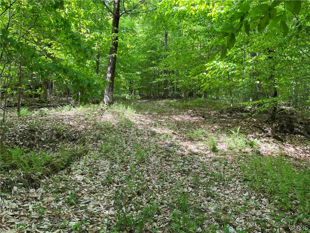 0 Bone Run Road Frewsburg, NY 14738 - Photo 16 of 30