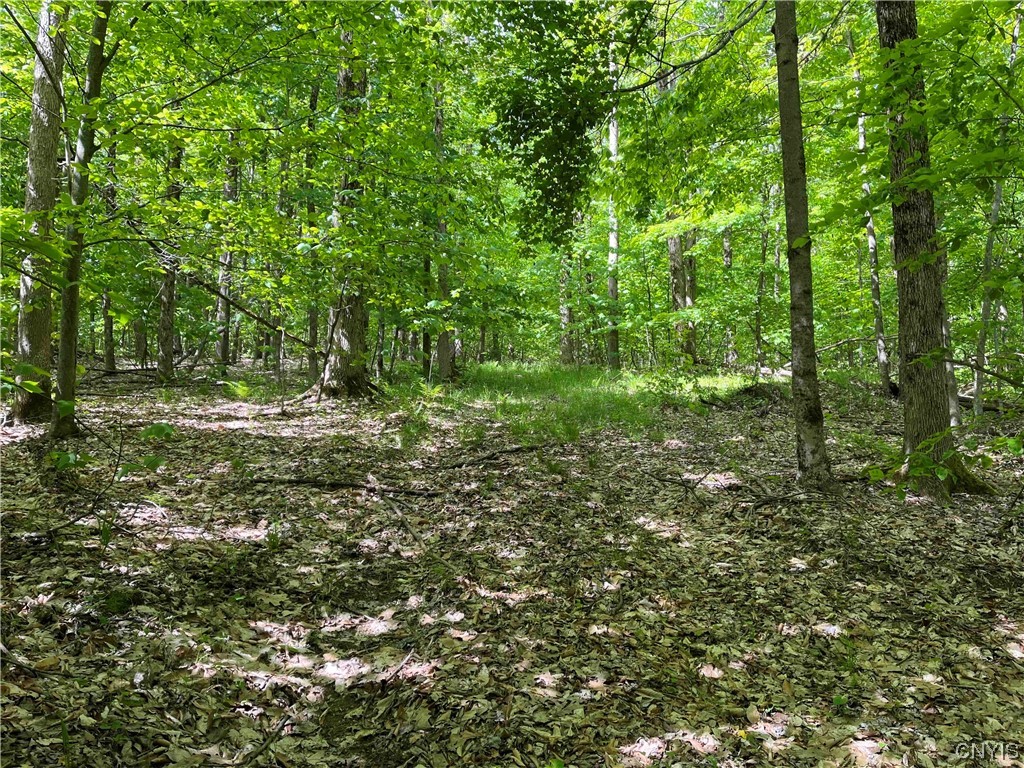 0 Bone Run Road Frewsburg, NY 14738 - Photo 17 of 30