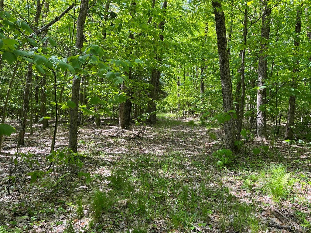 0 Bone Run Road Frewsburg, NY 14738 - Photo 18 of 30