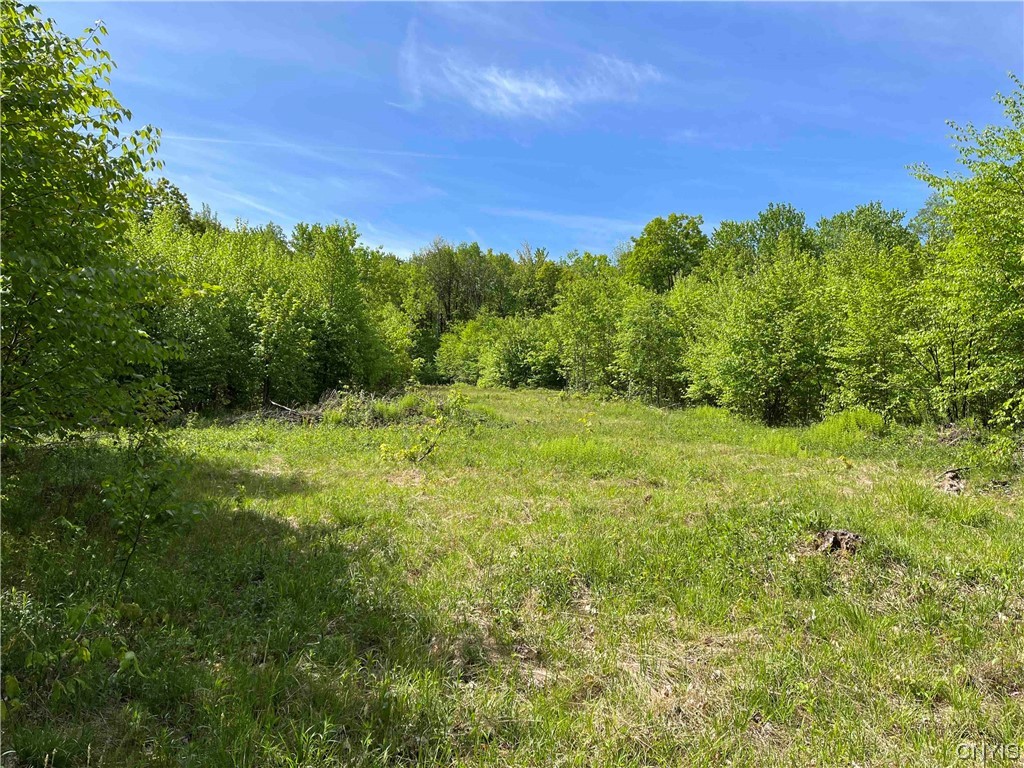 0 Bone Run Road Frewsburg, NY 14738 - Photo 19 of 30