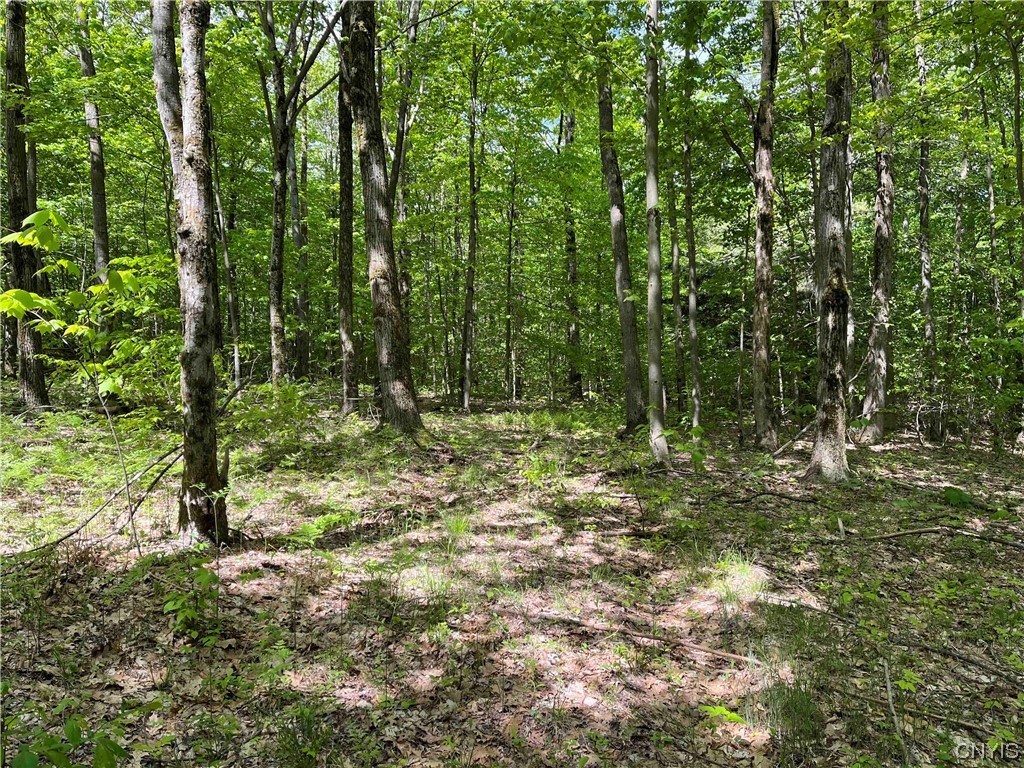 0 Bone Run Road Frewsburg, NY 14738 - Photo 20 of 30