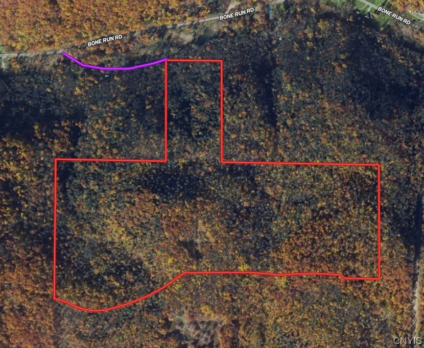 0 Bone Run Road Frewsburg, NY 14738 - Photo 2 of 30