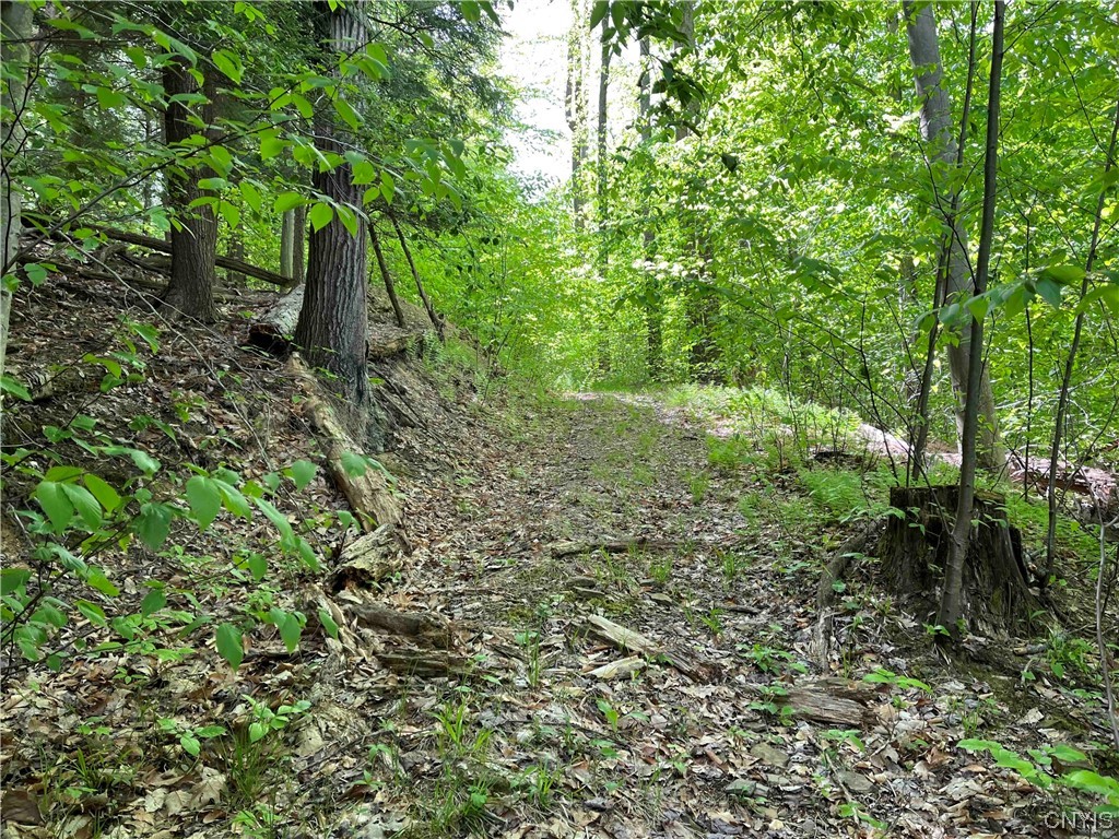 0 Bone Run Road Frewsburg, NY 14738 - Photo 21 of 30