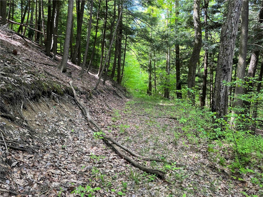 0 Bone Run Road Frewsburg, NY 14738 - Photo 22 of 30