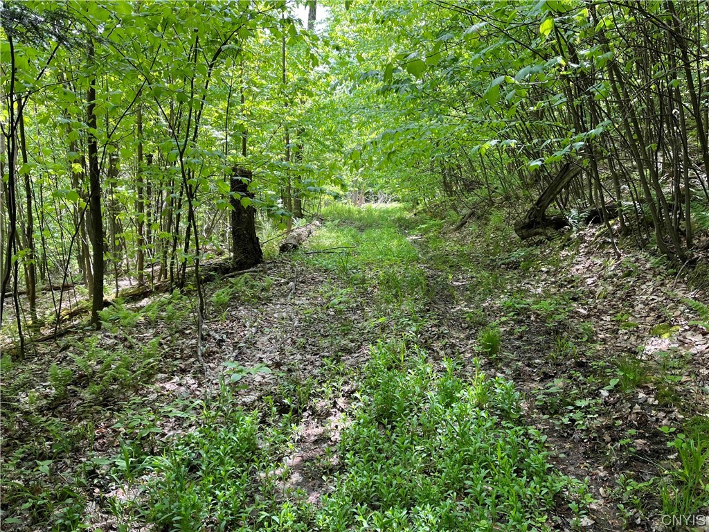 0 Bone Run Road Frewsburg, NY 14738 - Photo 23 of 30