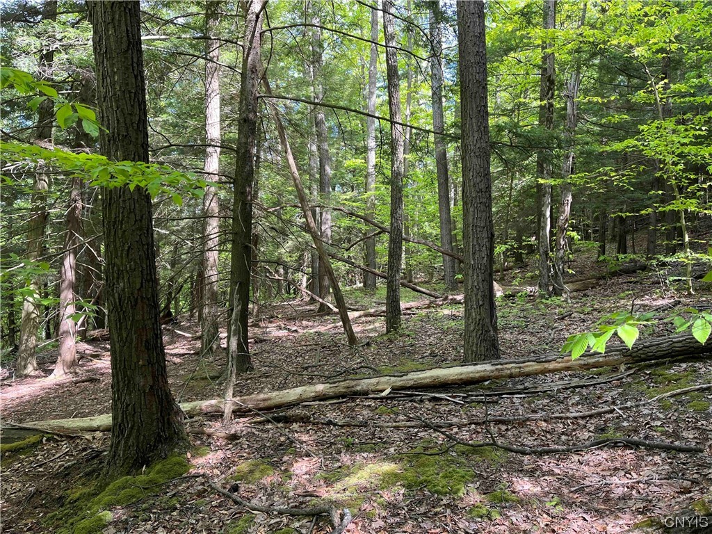 0 Bone Run Road Frewsburg, NY 14738 - Photo 24 of 30