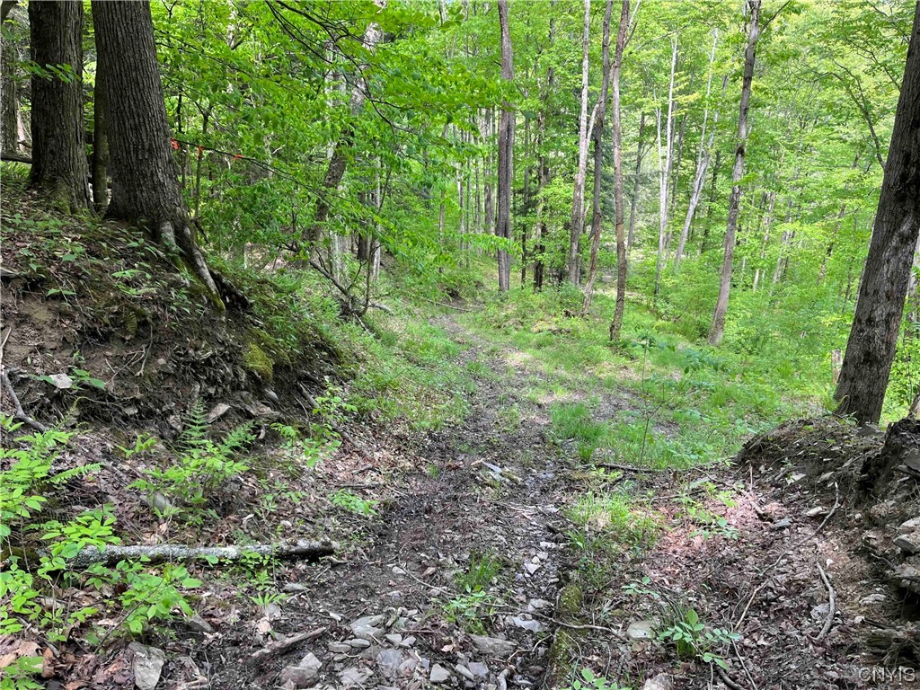 0 Bone Run Road Frewsburg, NY 14738 - Photo 25 of 30