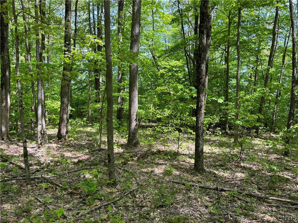 0 Bone Run Road Frewsburg, NY 14738 - Photo 26 of 30