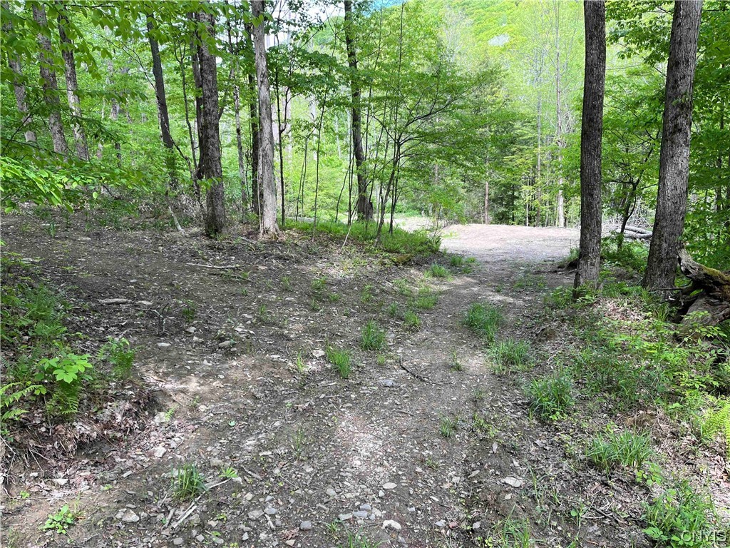 0 Bone Run Road Frewsburg, NY 14738 - Photo 27 of 30