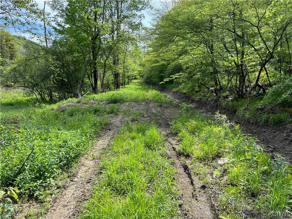 0 Bone Run Road Frewsburg, NY 14738 - Photo 28 of 30