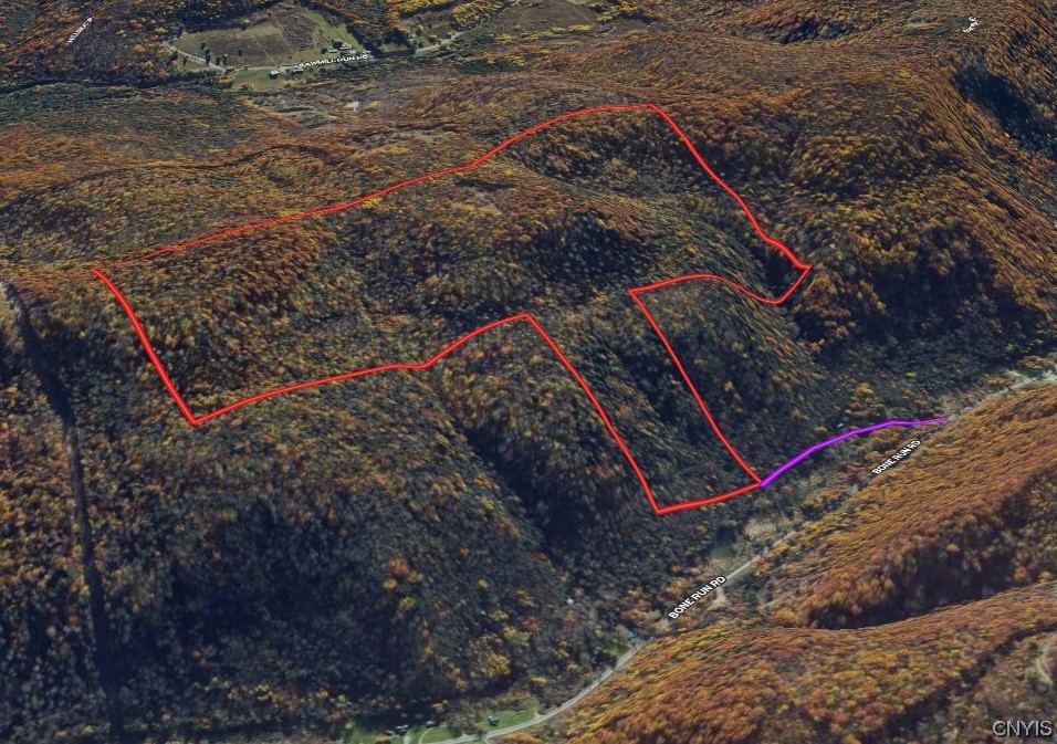 0 Bone Run Road Frewsburg, NY 14738 - Photo 3 of 30