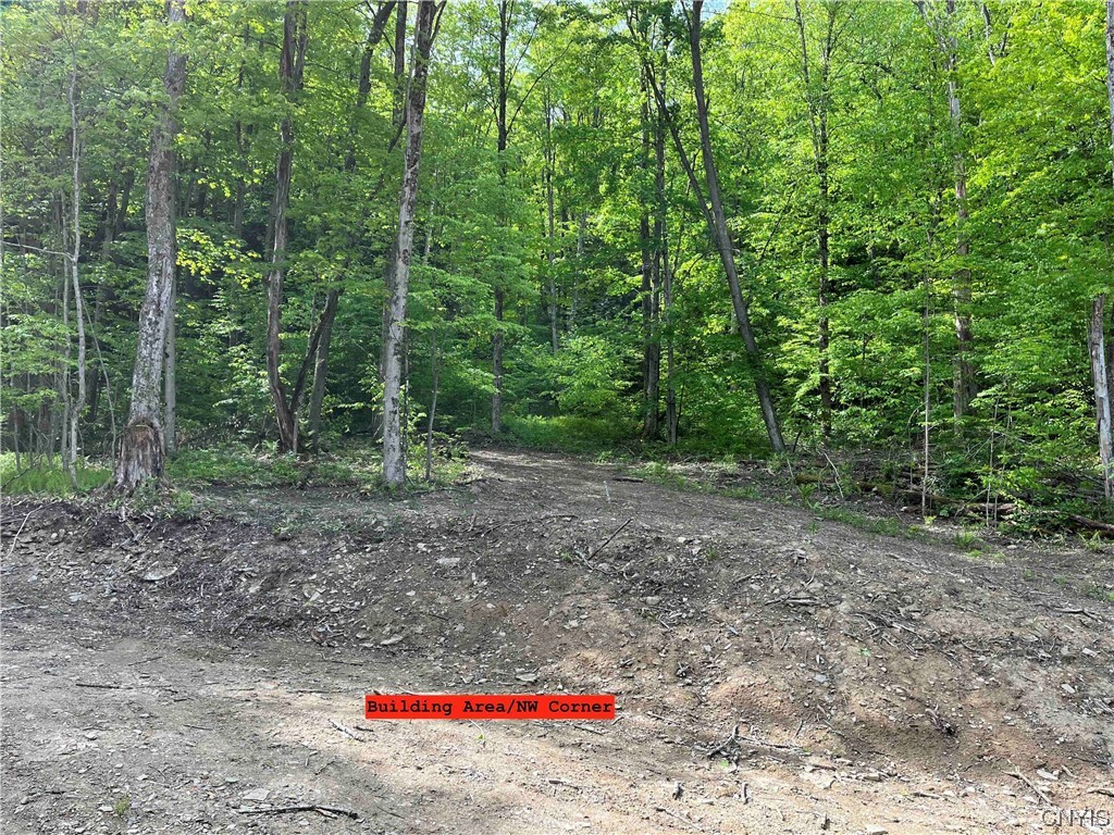 0 Bone Run Road Frewsburg, NY 14738 - Photo 4 of 30