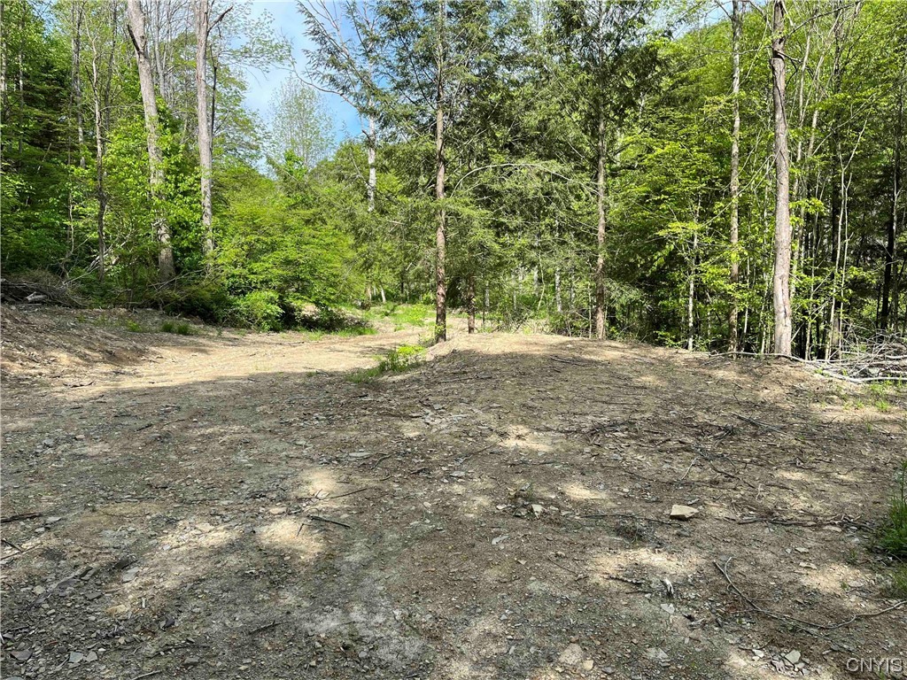 0 Bone Run Road Frewsburg, NY 14738 - Photo 5 of 30