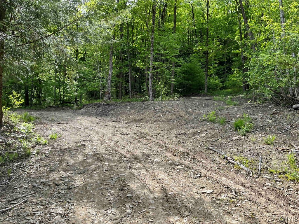 0 Bone Run Road Frewsburg, NY 14738 - Photo 6 of 30