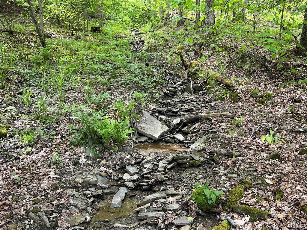 0 Bone Run Road Frewsburg, NY 14738 - Photo 8 of 30