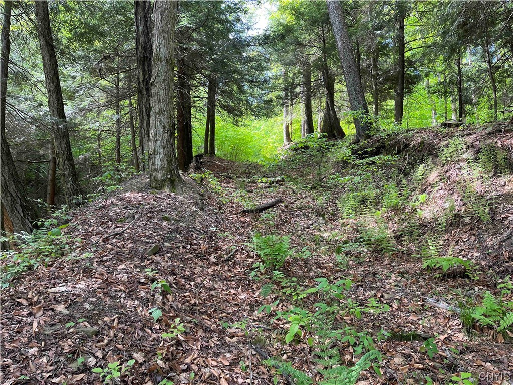 0 Bone Run Road Frewsburg, NY 14738 - Photo 10 of 30