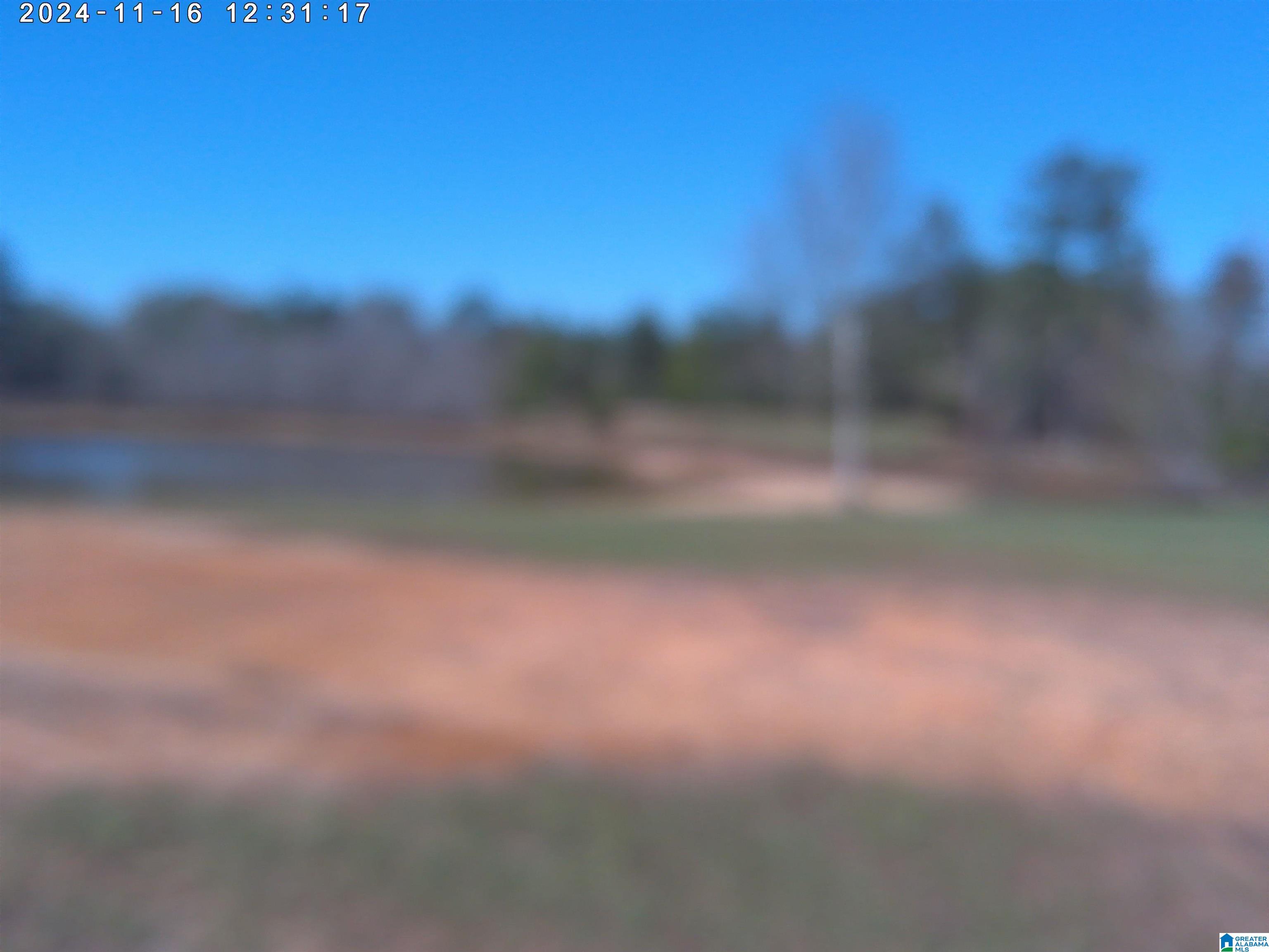 1897 Mount Pleasant Road, Unit 11 LOTS Millport, AL 35576 - Photo 5 of 8