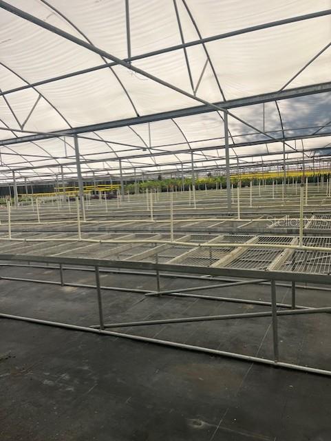 4103 Ondich Road Apopka, FL 32712 - Photo 11 of 13