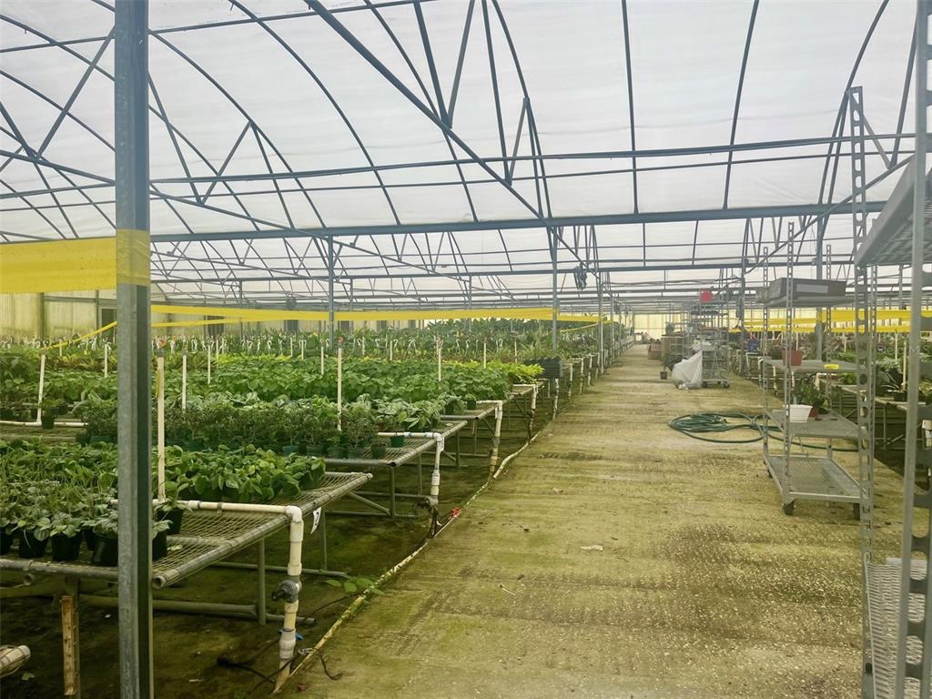 4103 Ondich Road Apopka, FL 32712 - Photo 8 of 13 a view of a swimming pool