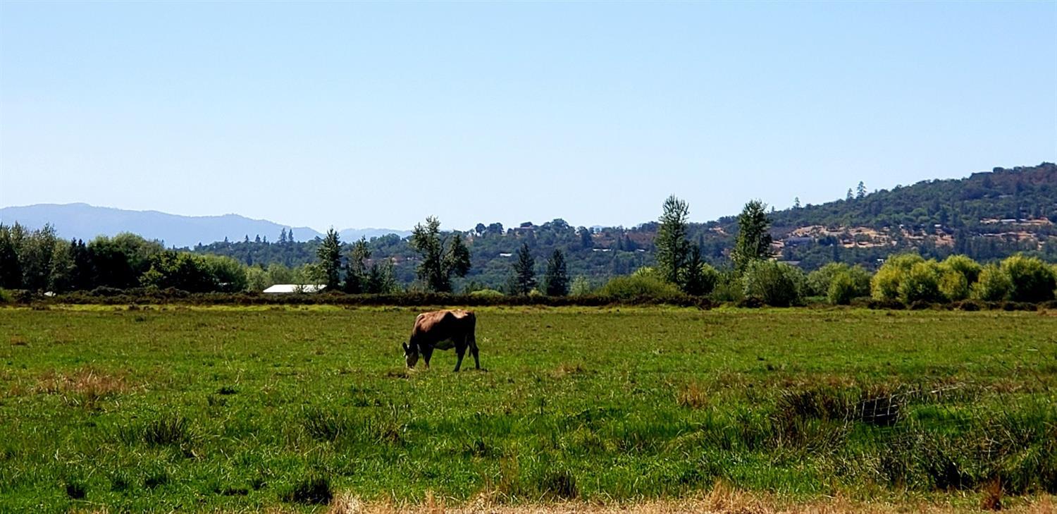 1421 Reese Creek Road Eagle Point, OR 97524 - Photo 5 of 34 a view of outdoor space and city view